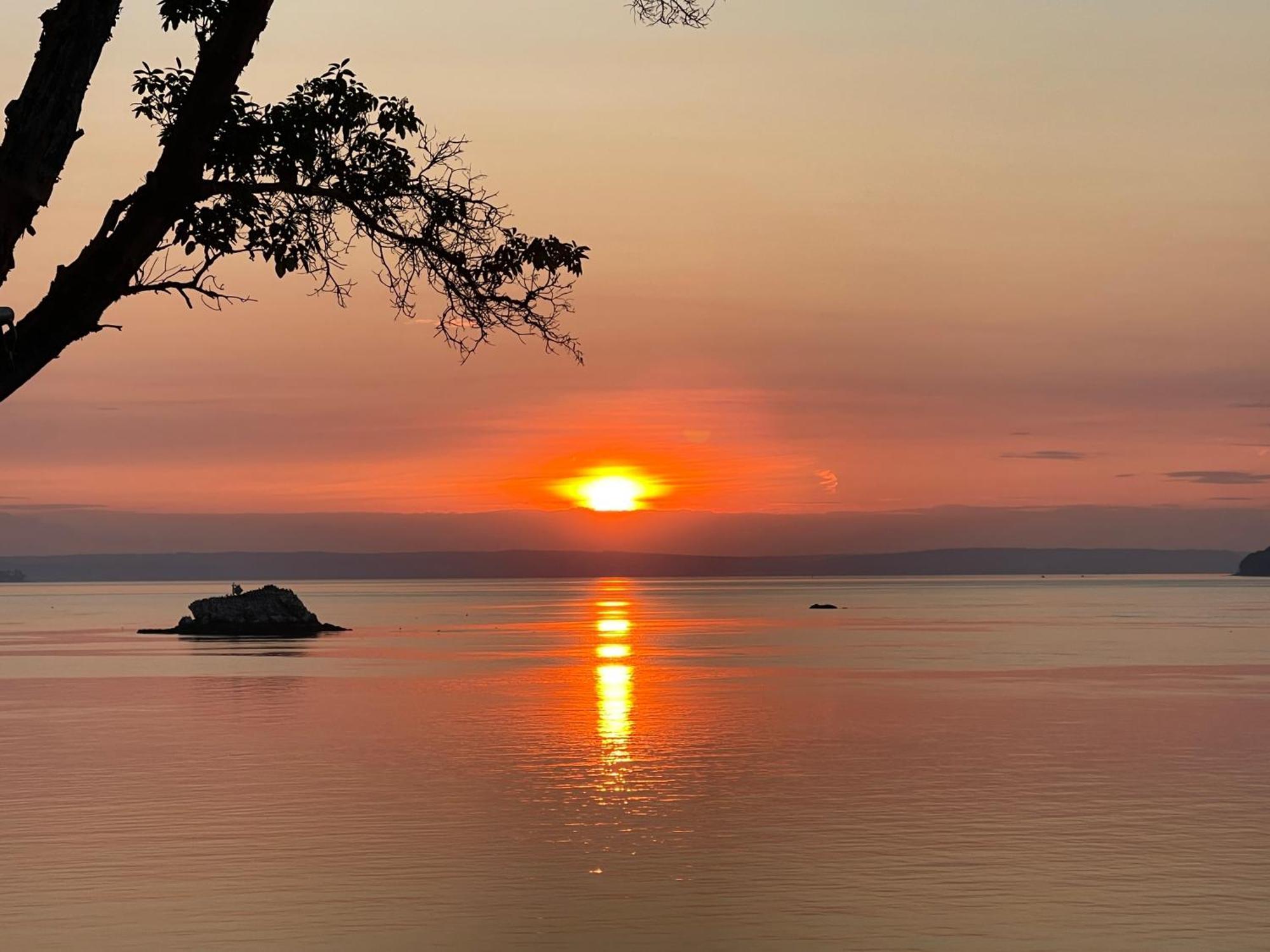 Puget Sound Chic Romantic Cottage With Private Beach Access & Gated Entry Port Ludlow Exterior photo